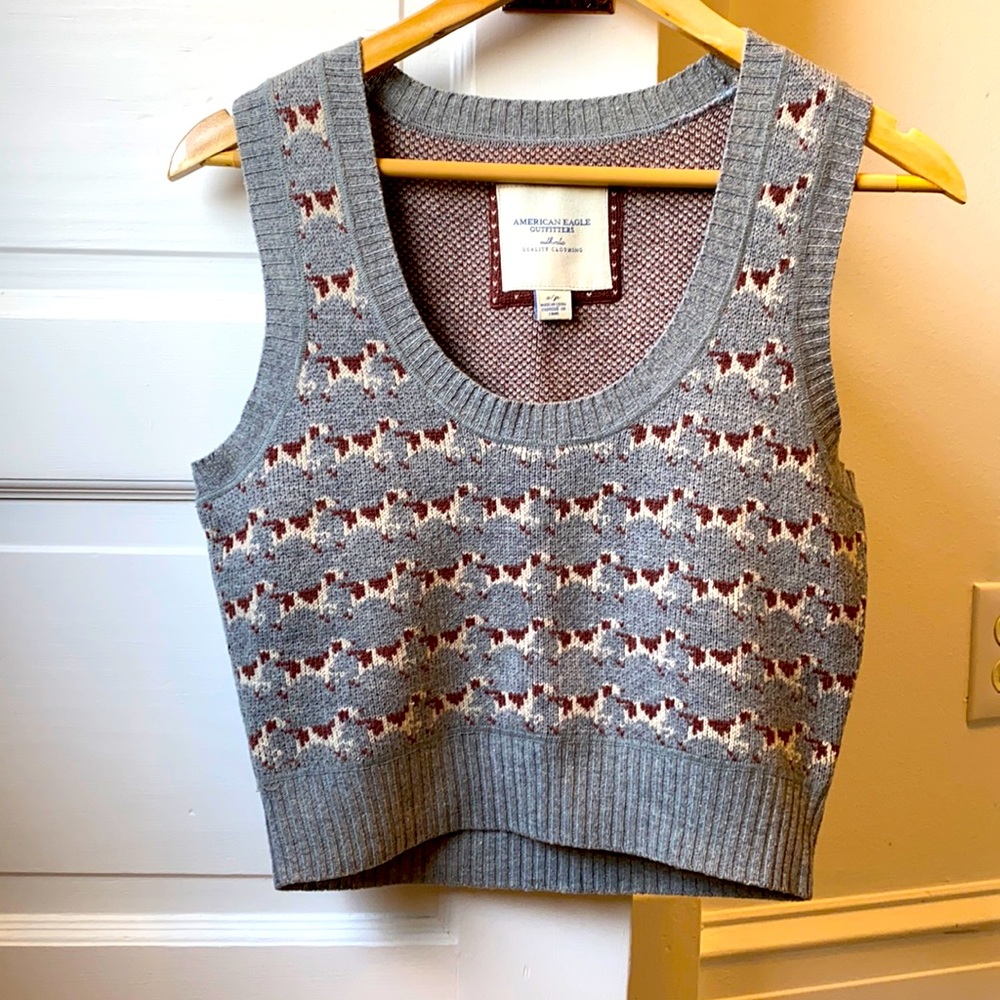 Cropped American Eagle sweater vest